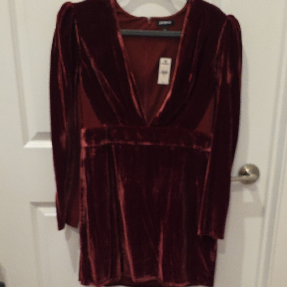 Express Velvet Long Sleeve Dress in Rich Burgundy